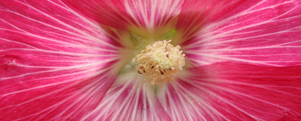 September 2013 Artist: Mike Podhorzer